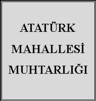 Selim SEL