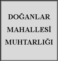 Hasan HELVACIOĞLU