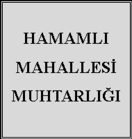 Yusuf AY