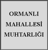 Sezgin BİROL
