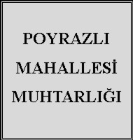 Kamil ÖRNEKLİ